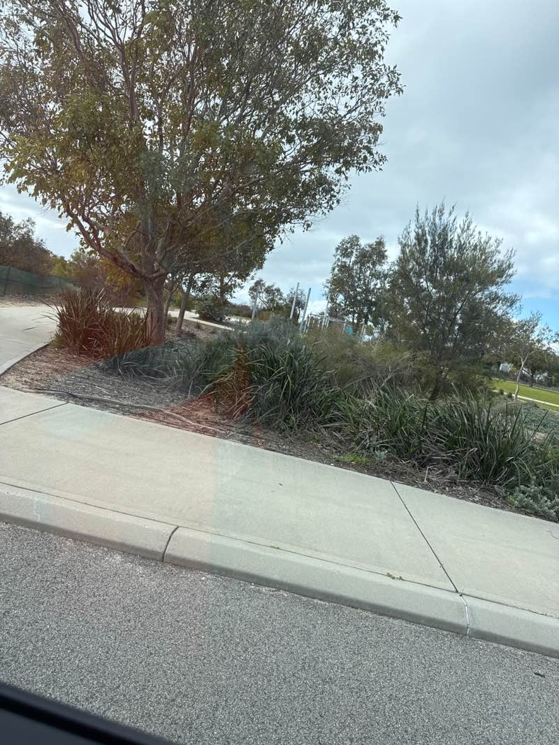 walking near me in Cooloola Park in spring