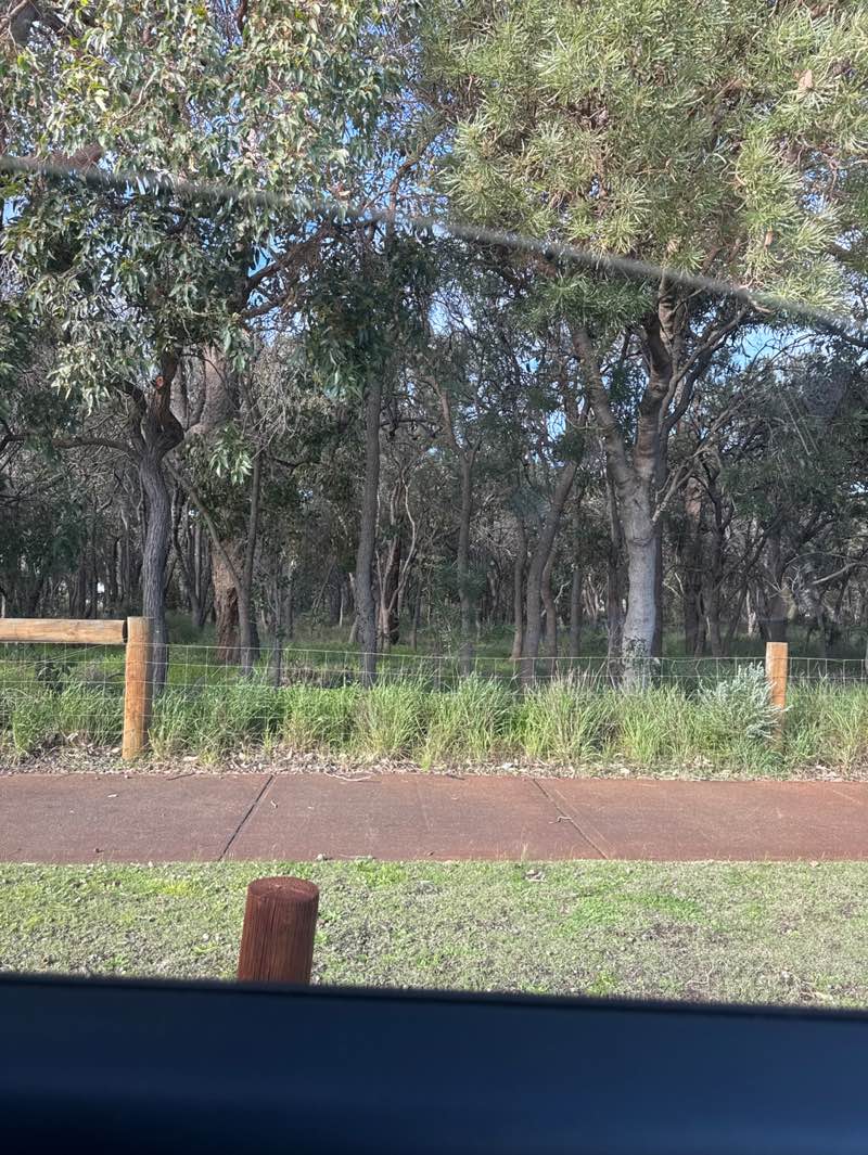 walking near me in Catalpa Park in spring