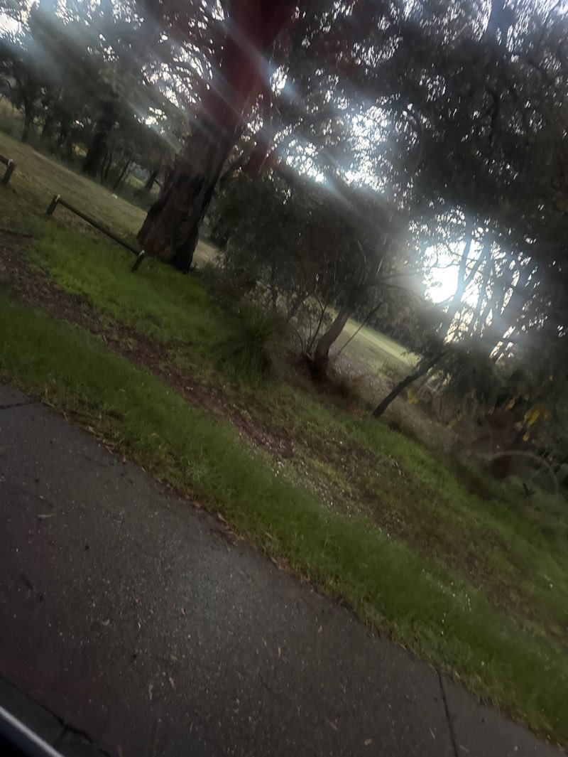 walking near me in Waroona Recreation & Aquatic Centre in spring