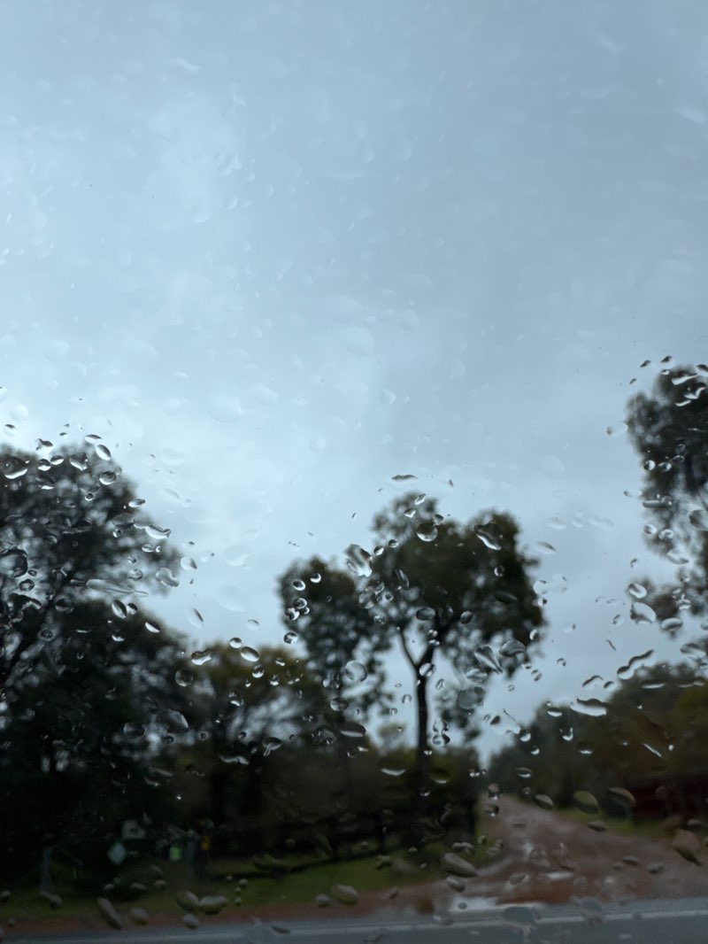 walking near me in Neaves Road Nature Reserve in spring