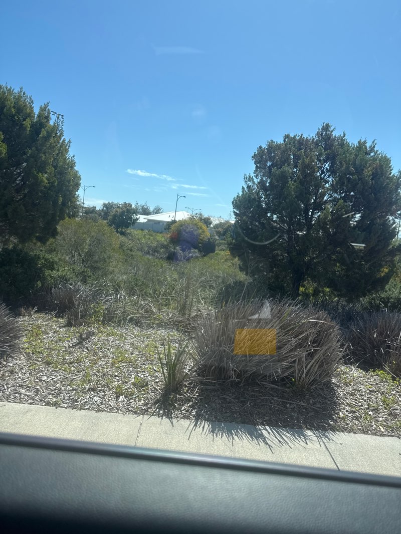 walking near me in Pearson Park in spring