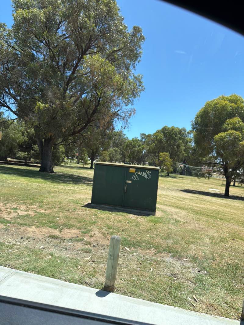 walking near me in Joseph Cooper Park in summer