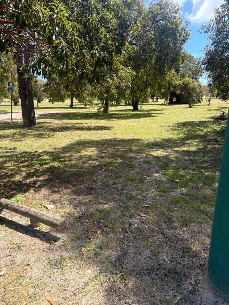 walking near me in Melaleuca Park in spring