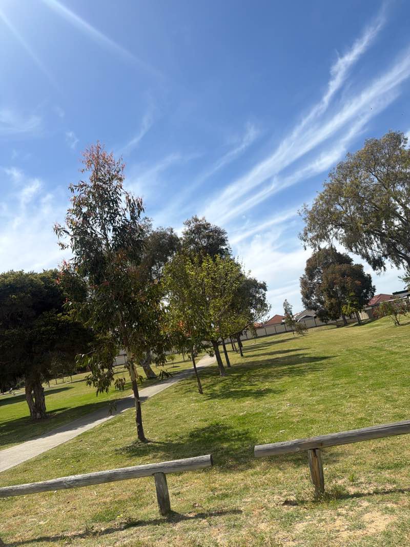 walking near me in Tim Shaw Park in spring