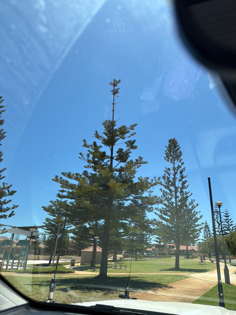 walking near me in Village Recreation Area in summer