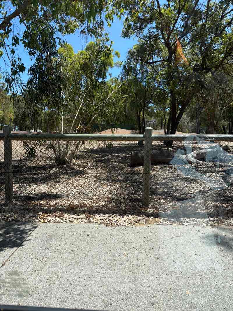 walking near me in Duverney Park in summer