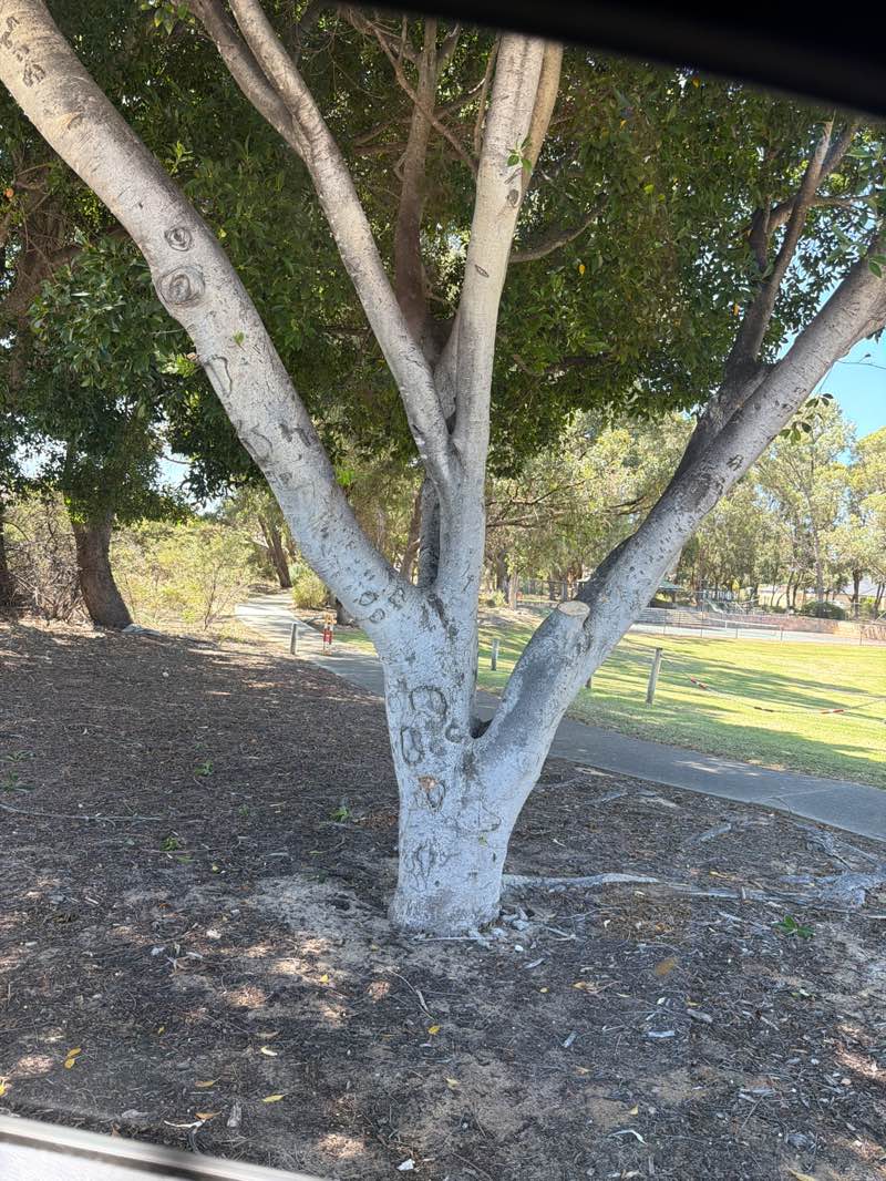 walking near me in Tennis Court, Basketball half court and Play ground in summer