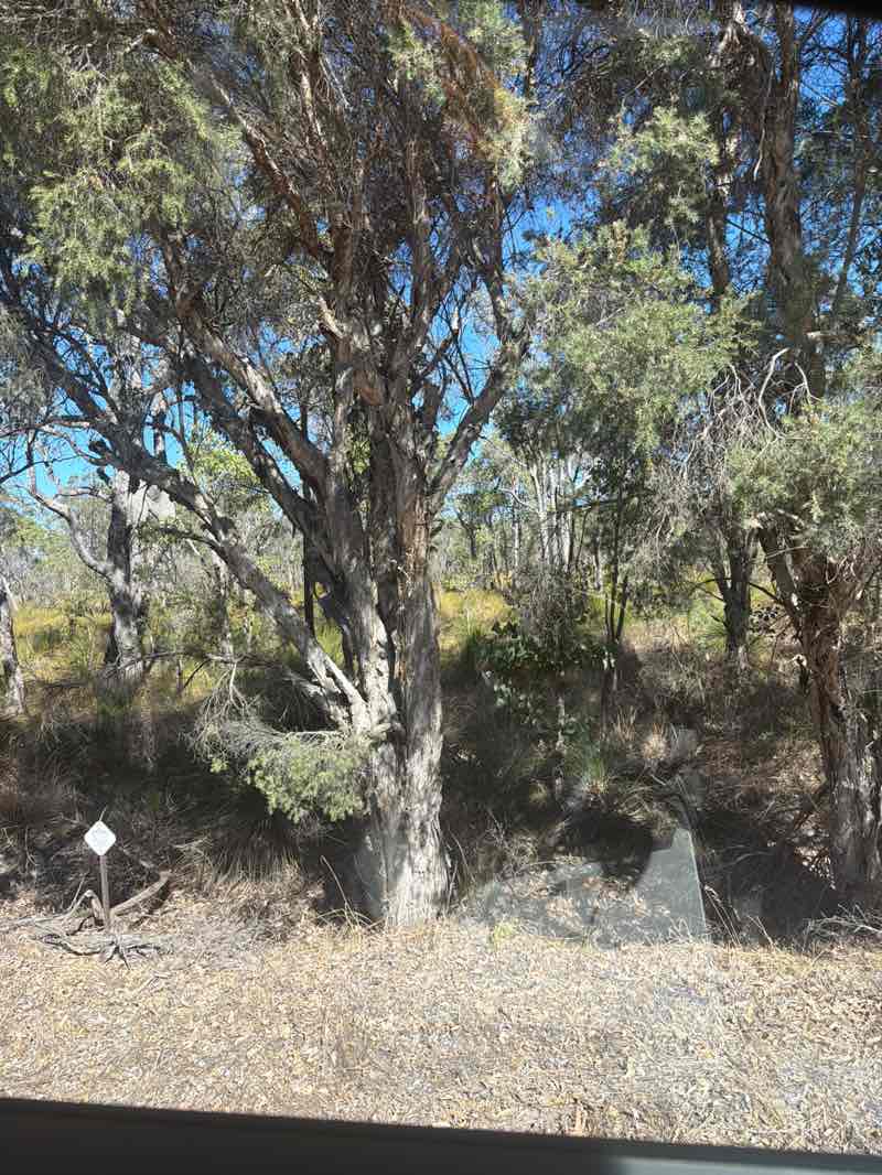 walking near me in Unnamed WA46108 Nature Reserve in autumn