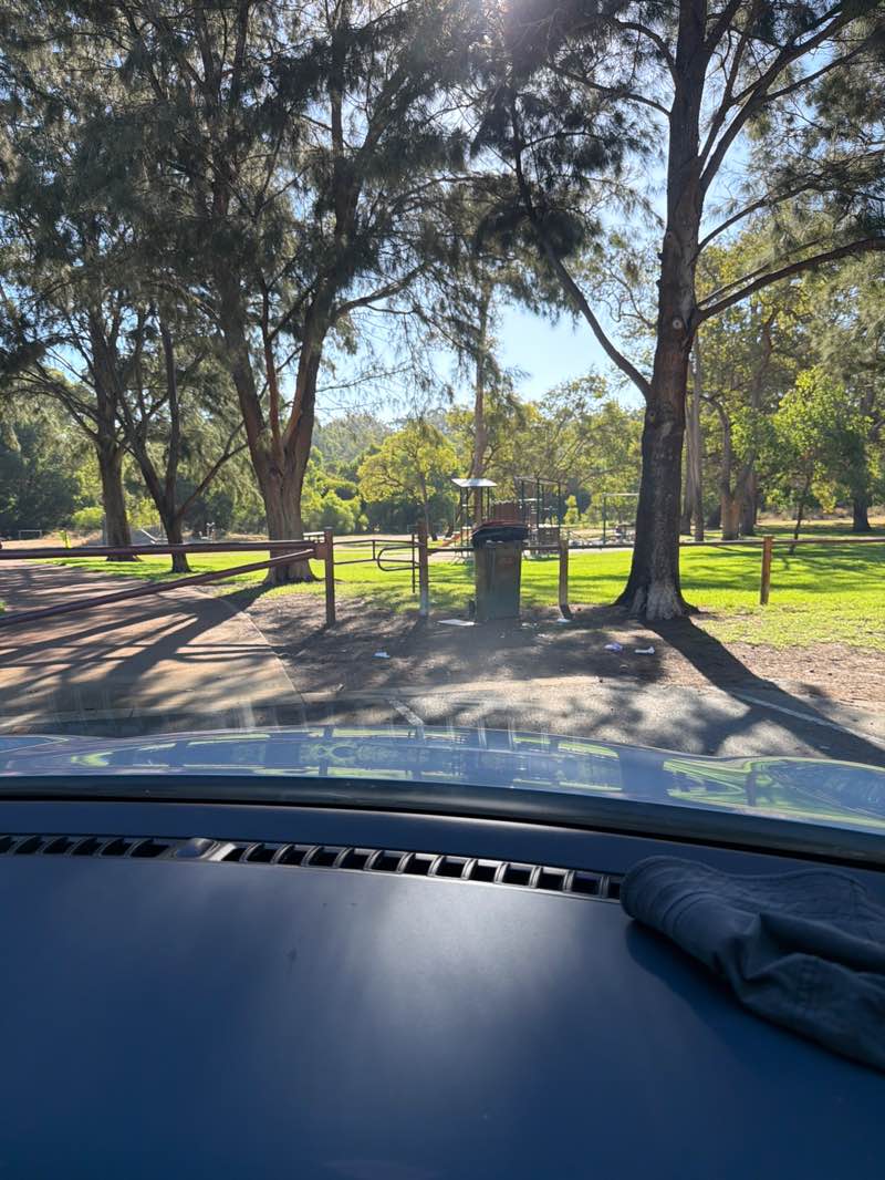 walking near me in Sloan Reserve in autumn