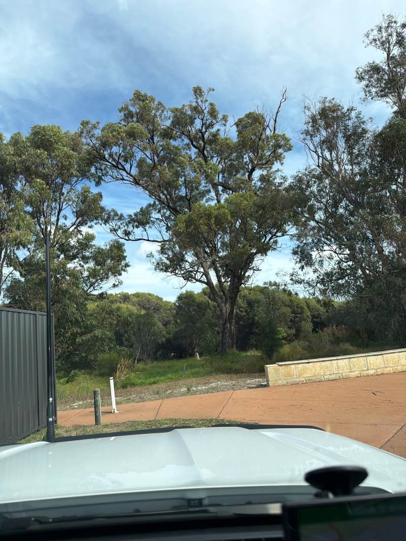 walking near me in Norton Reserve in autumn