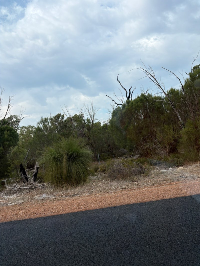 walking near me in Buller Nature Reserve in autumn