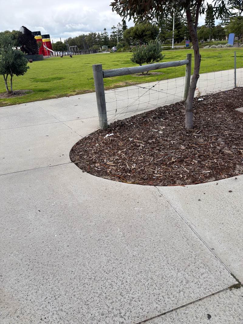 walking near me in Koombana Bay Foreshore in autumn