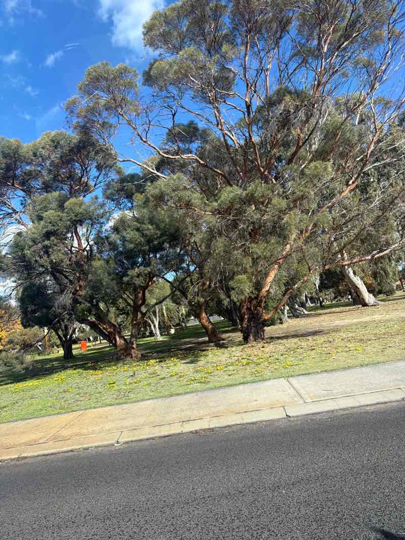 walking near me in Kimberly Park in autumn