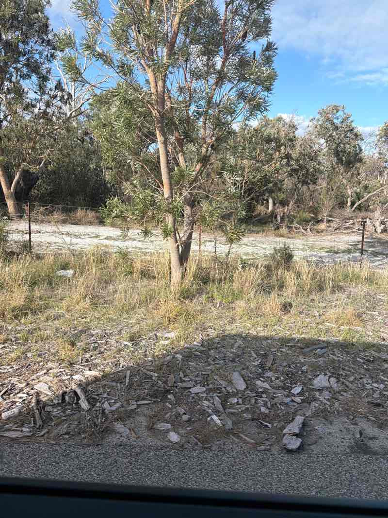 walking near me in Banksia Nature Reserve in winter