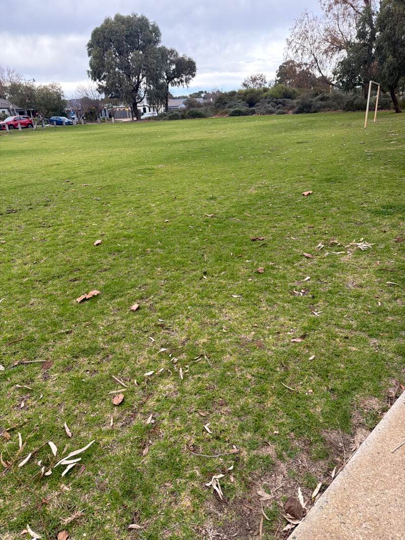 walking near me in Settlers Hill Park in winter