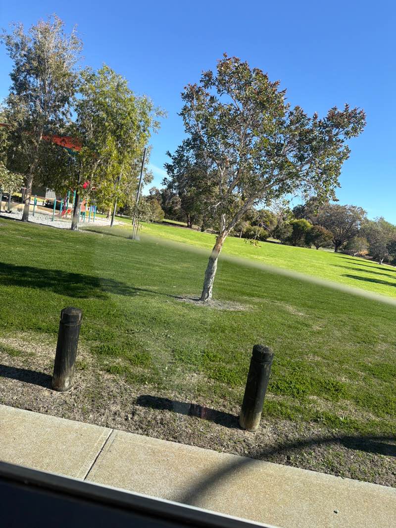walking near me in Narin Park in winter