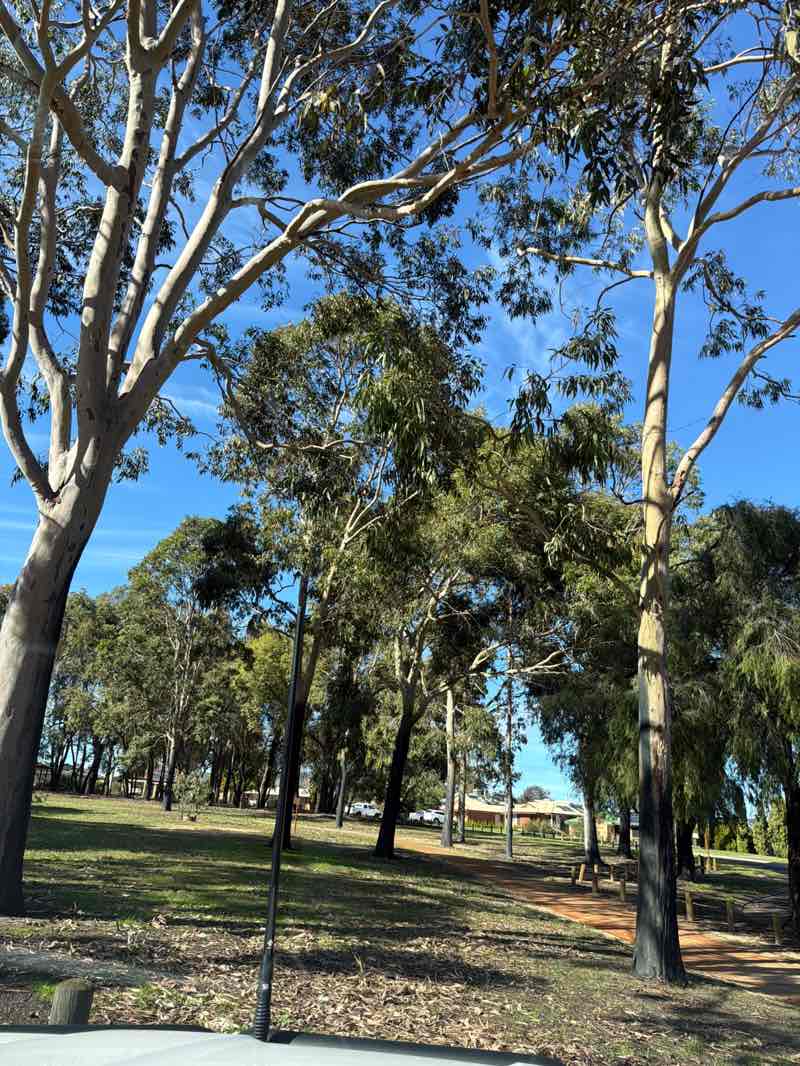 walking near me in Lowrey Park in winter