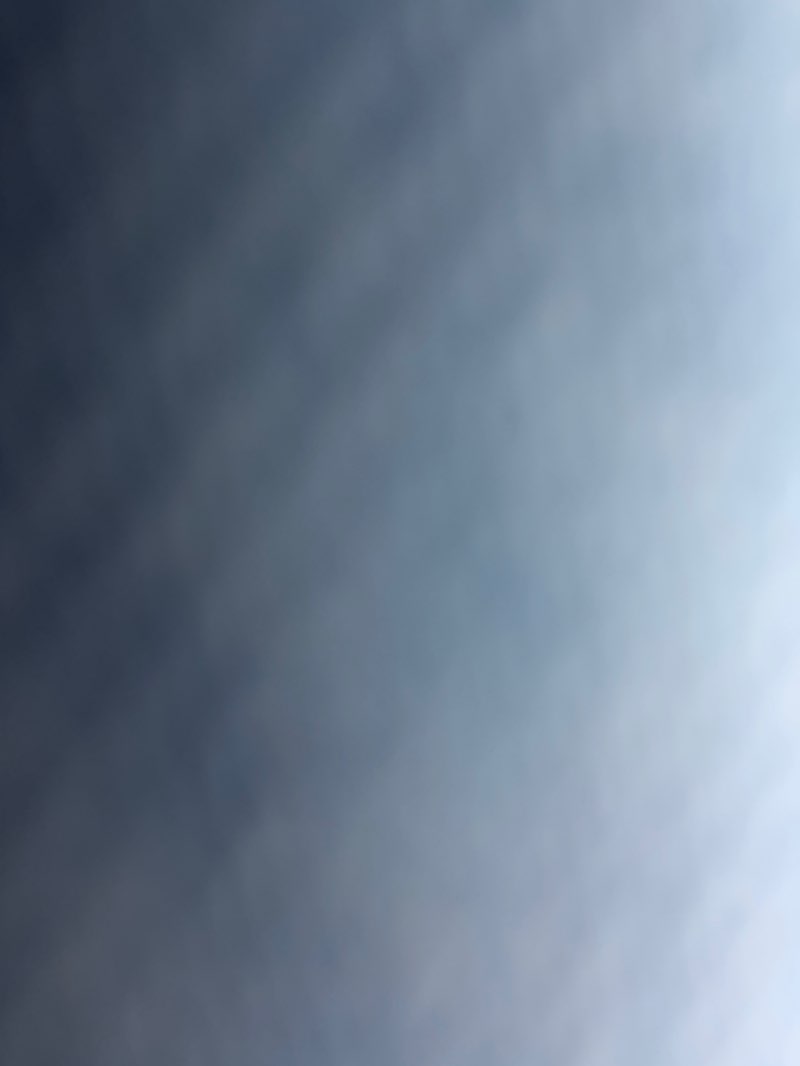 walking near me in Pelanconi Park in spring