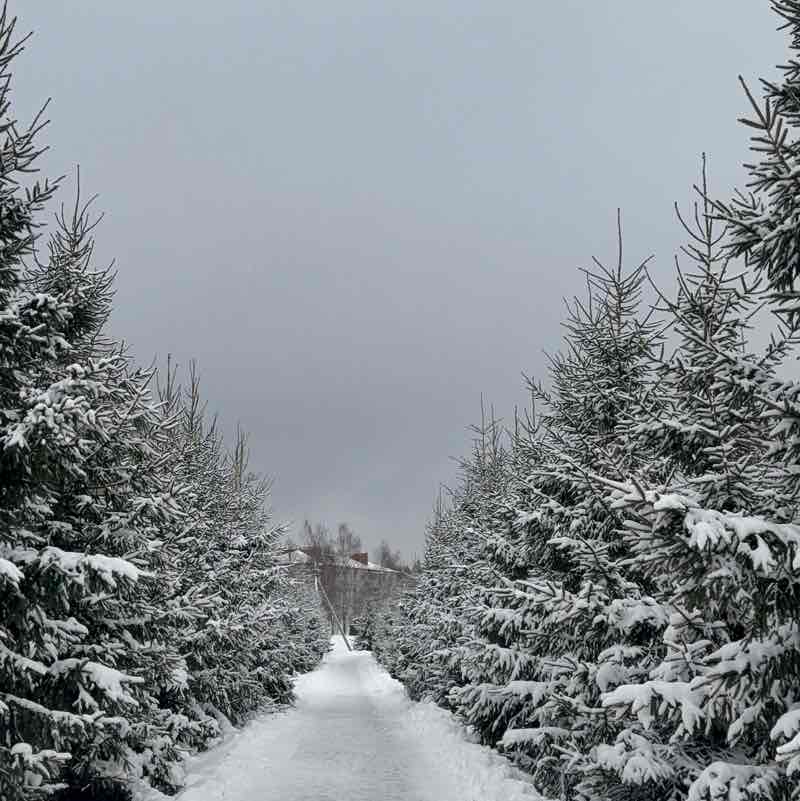 Наталья post 2