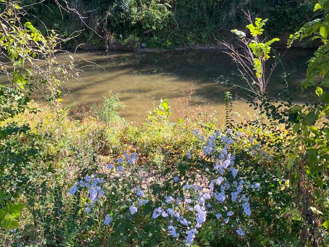 walking near me in Anstaff Soccer Complex and Harrison Tennis Complex in autumn