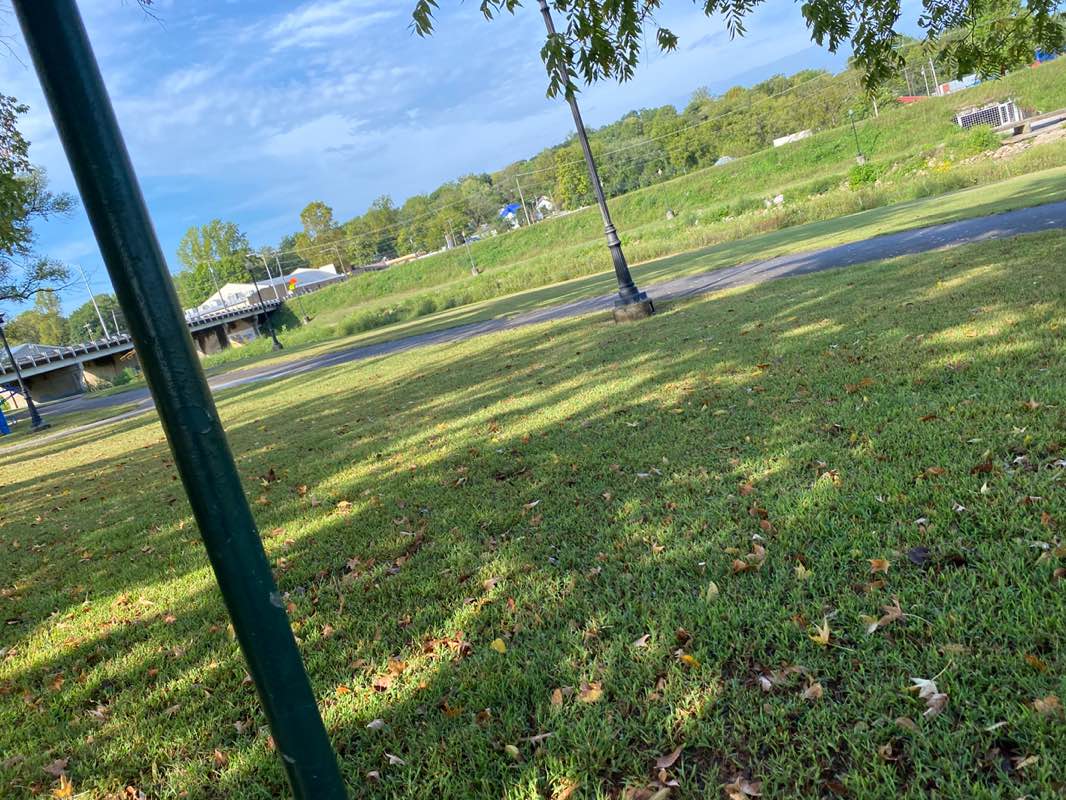 walking near me in Lake Harris Park in autumn