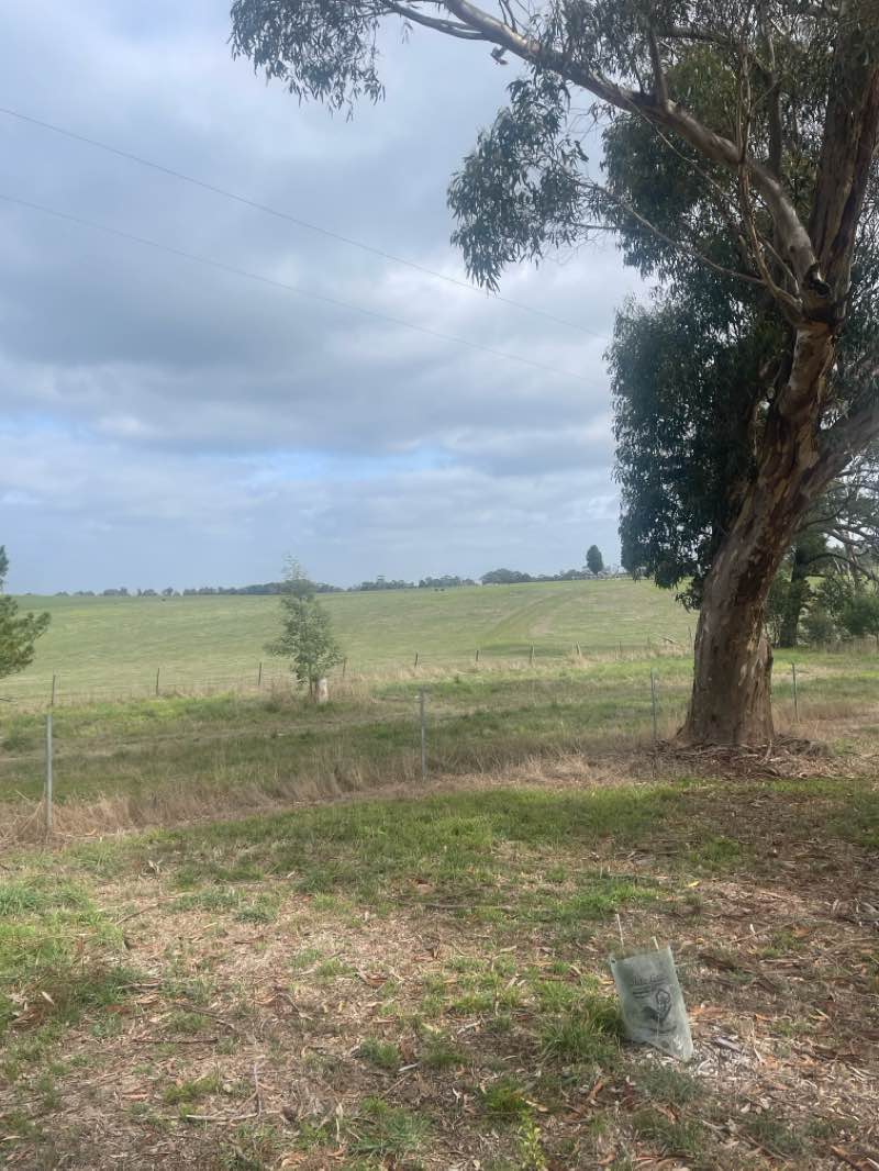 walking near me in Traralgon Railway Reservoir Recreation Reserve in autumn
