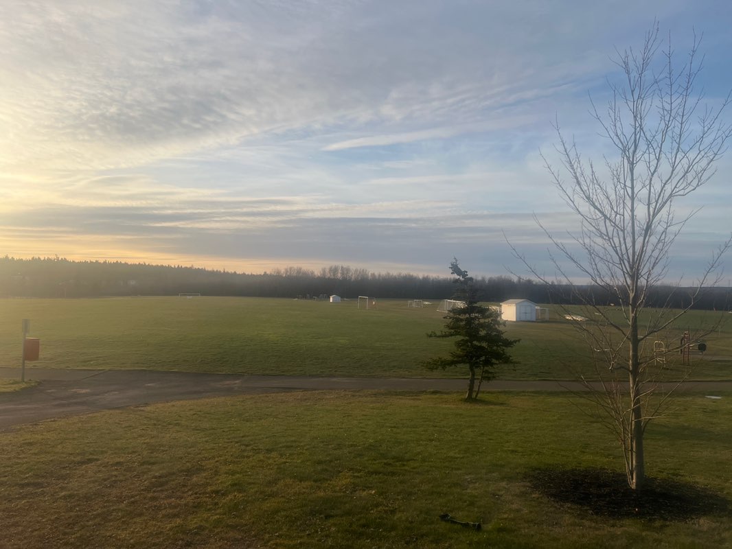 walking near me in Dover Park in autumn