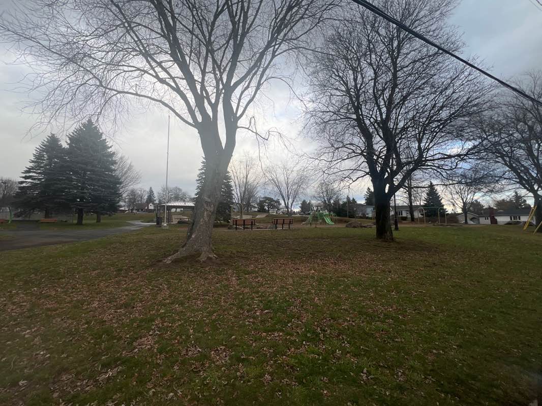 walking near me in Lewisville Park in winter