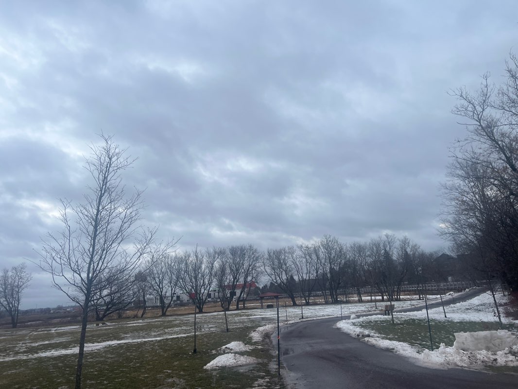 walking near me in East End Park in winter