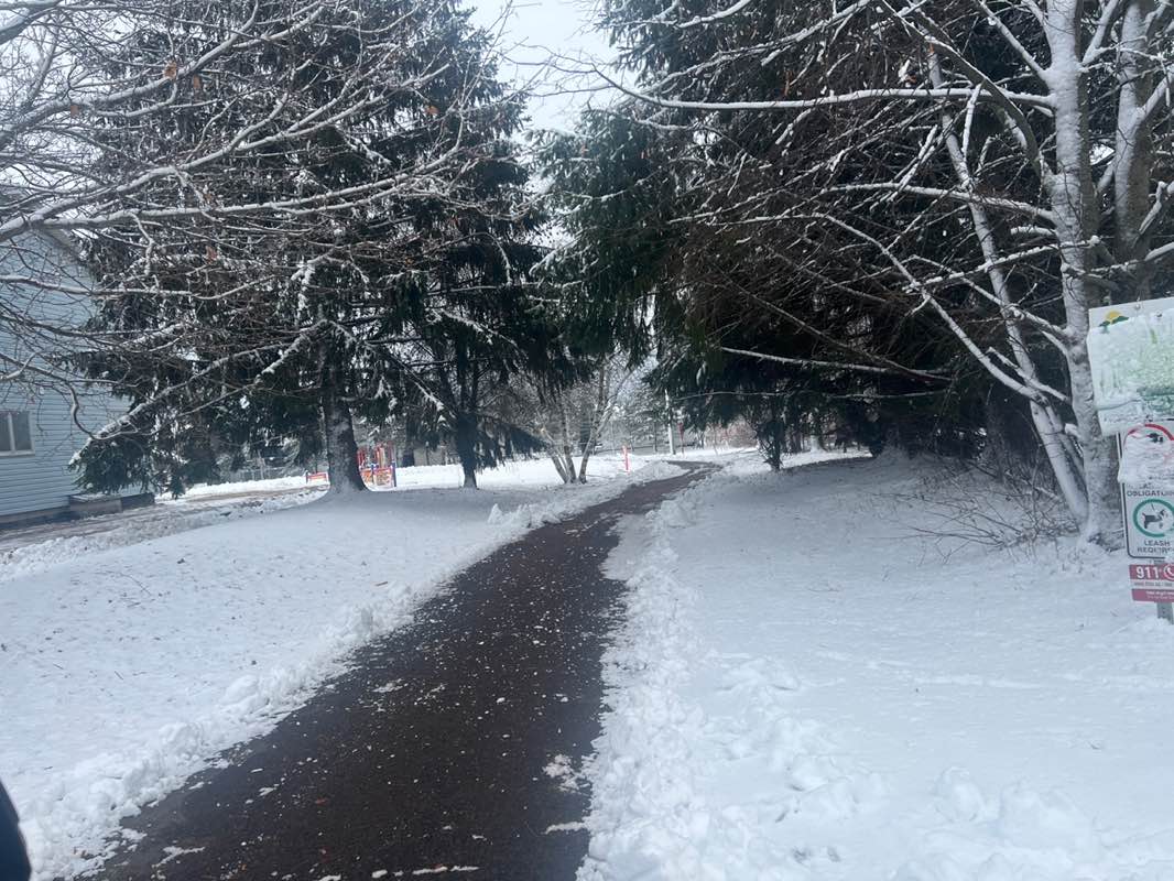 walking near me in Park Gaspe, Dieppe in winter