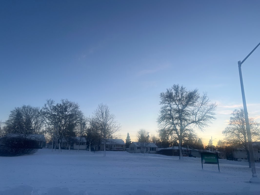 walking near me in Parc Valleyview Park in winter