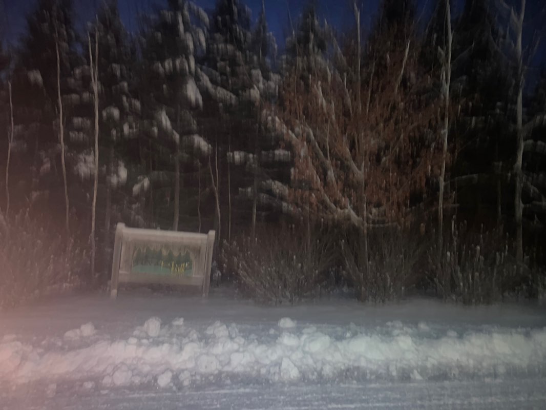 walking near me in Parc Bonaventure in winter