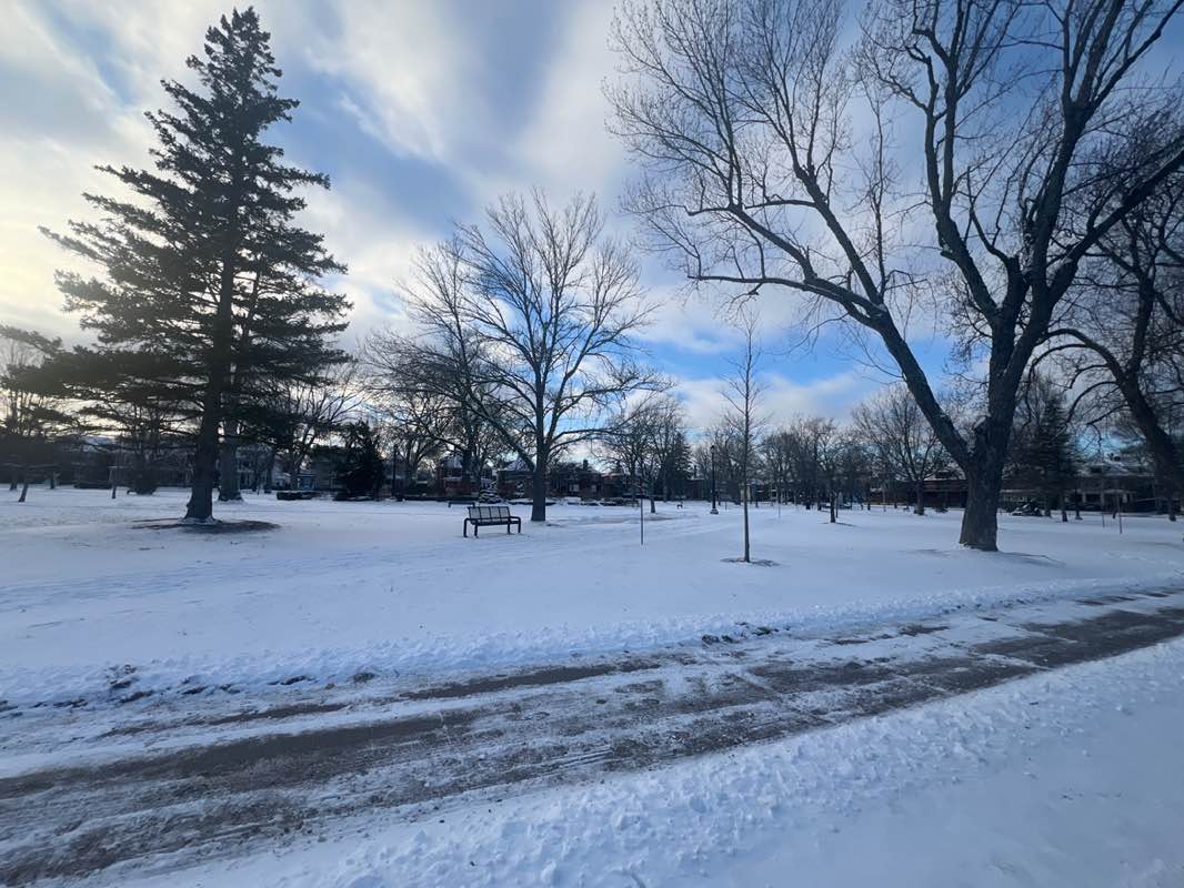 walking near me in Victoria Park in winter