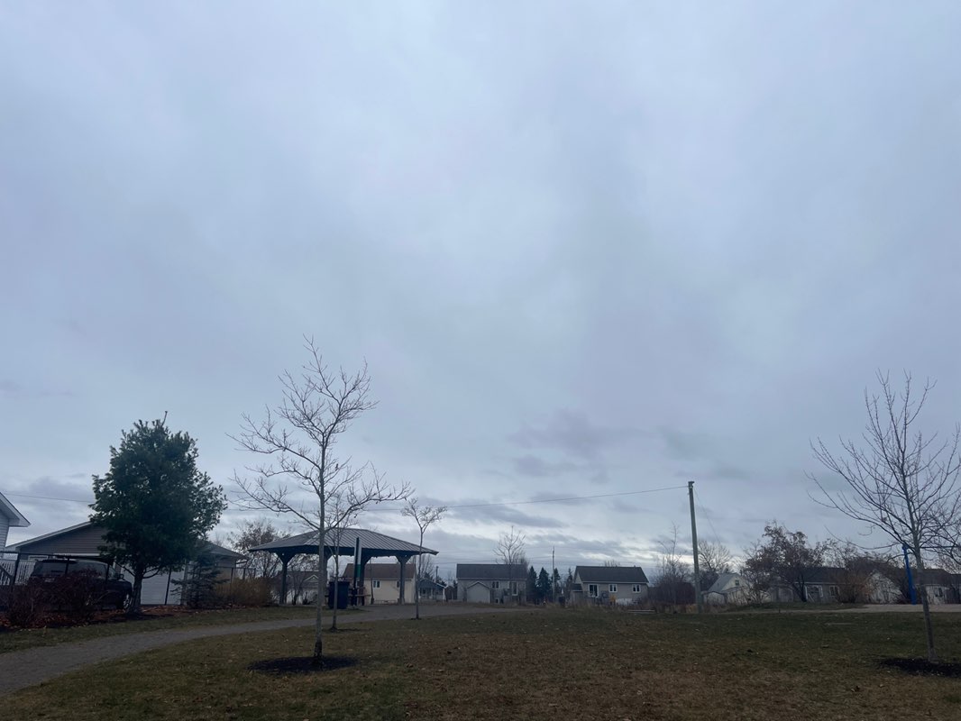 walking near me in Wynwood Park in winter
