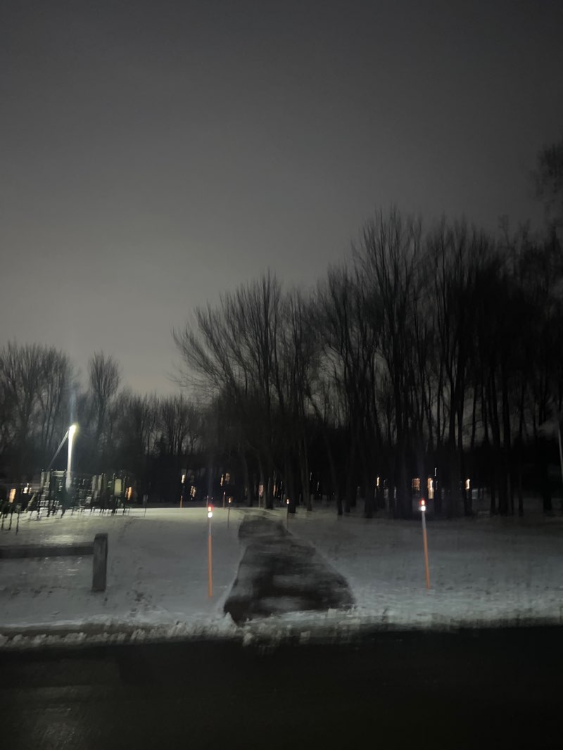 walking near me in Ridgeway Park in winter