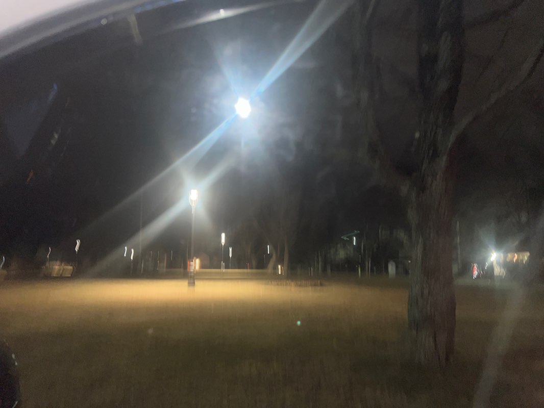 walking near me in Parc Sunny Brae Park in winter