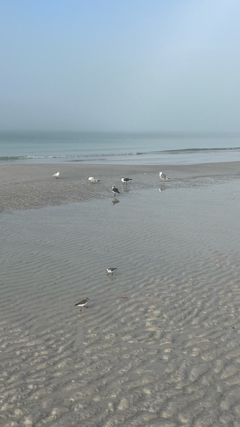 walking near me in Manatee Beach Park in winter