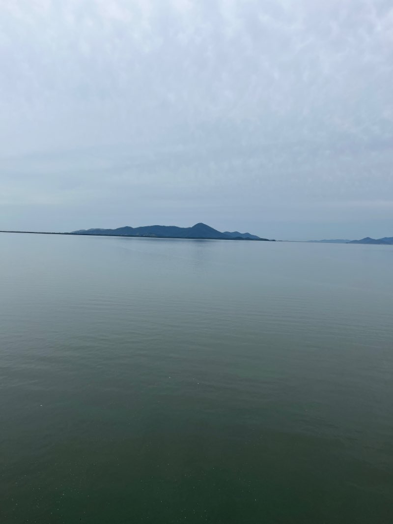 walking near me in Parque da Luz in summer
