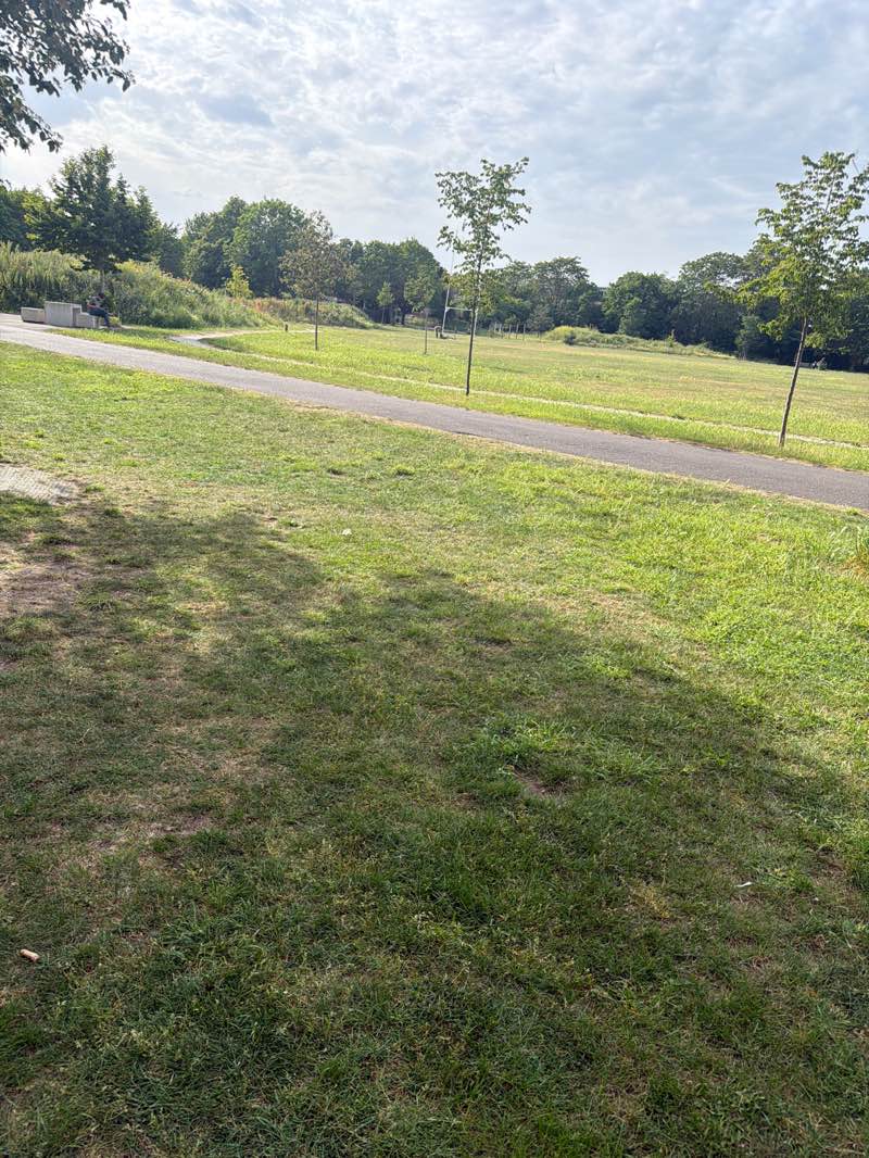 walking near me in Heston Park in summer