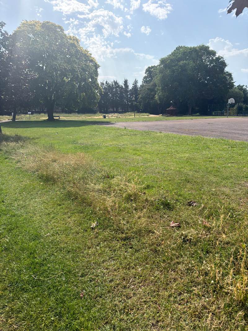 walking near me in Beaversfield Park in summer