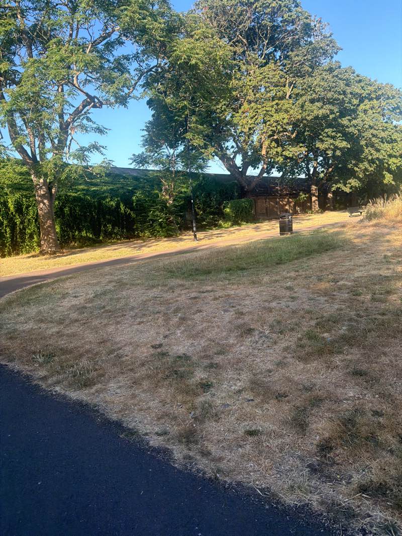walking near me in Beaversfield Park in summer