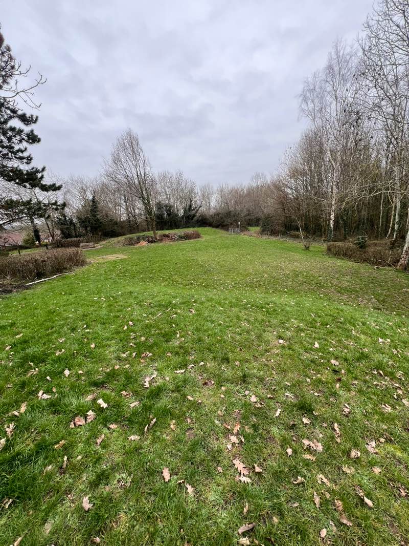 walking near me in Trotshill Fields in winter