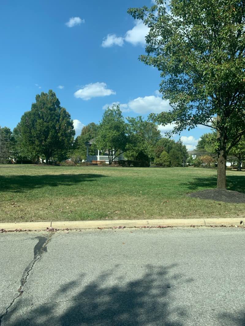 walking near me in Gazebo Park in autumn