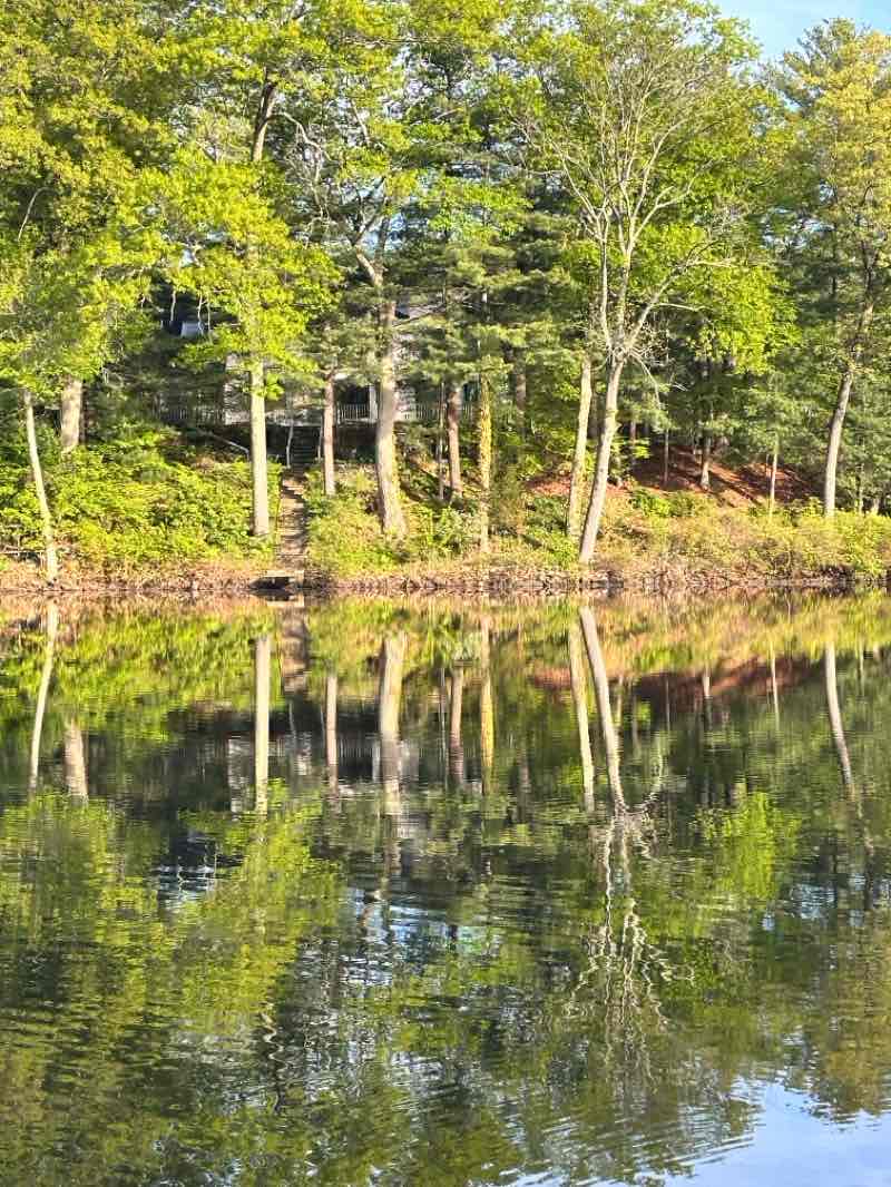 walking near me in Norumbega Park in summer