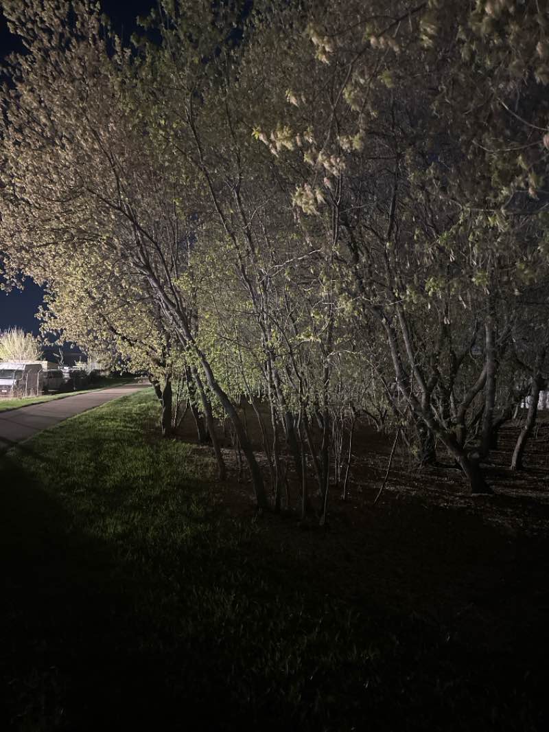 walking near me in Prime Ministers Park in spring