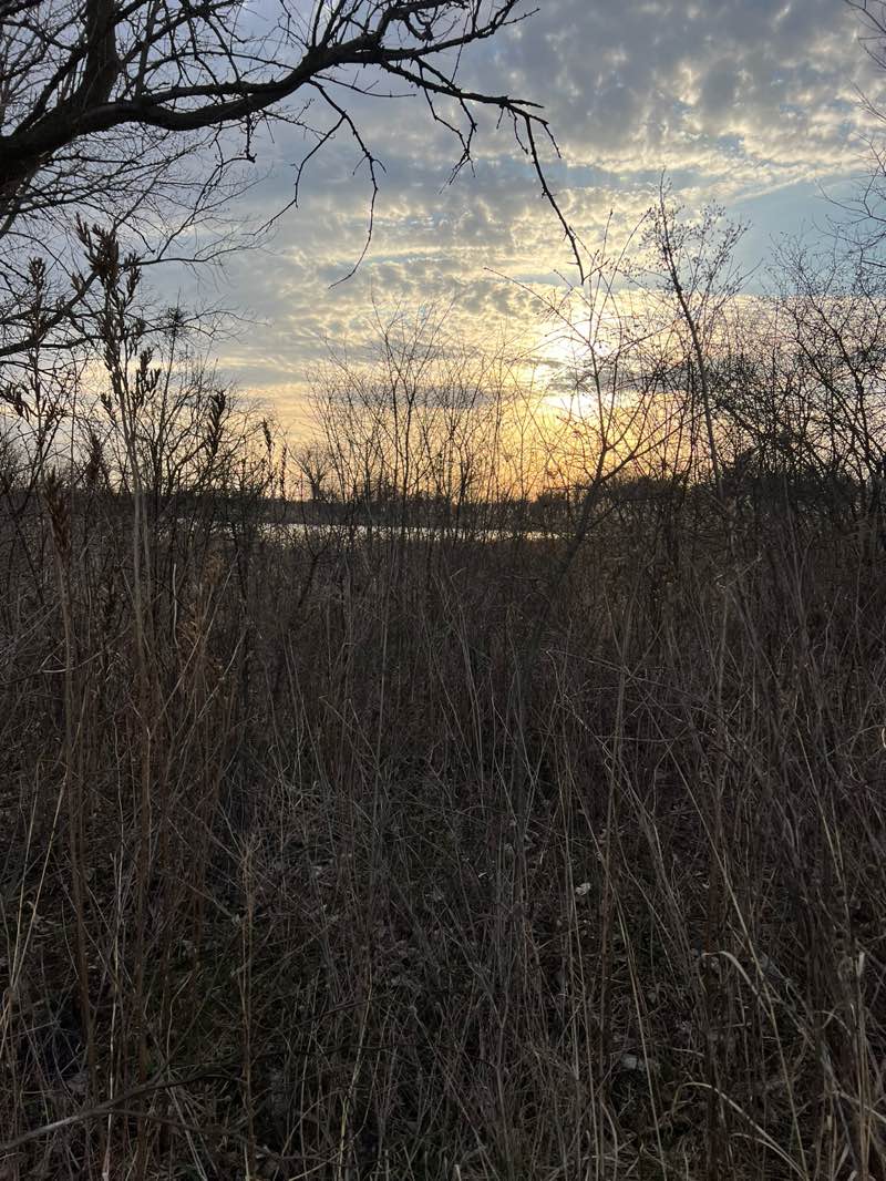 walking near me in Peck Farm Park in spring