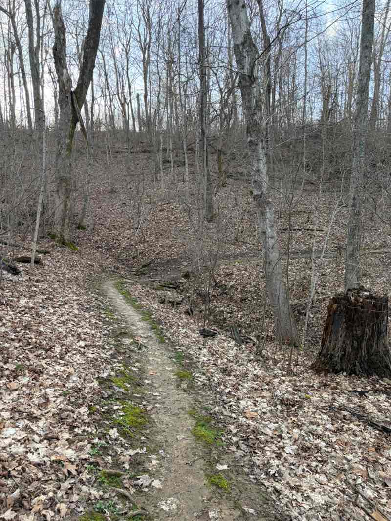 walking near me in General Butler State Resort Park in spring