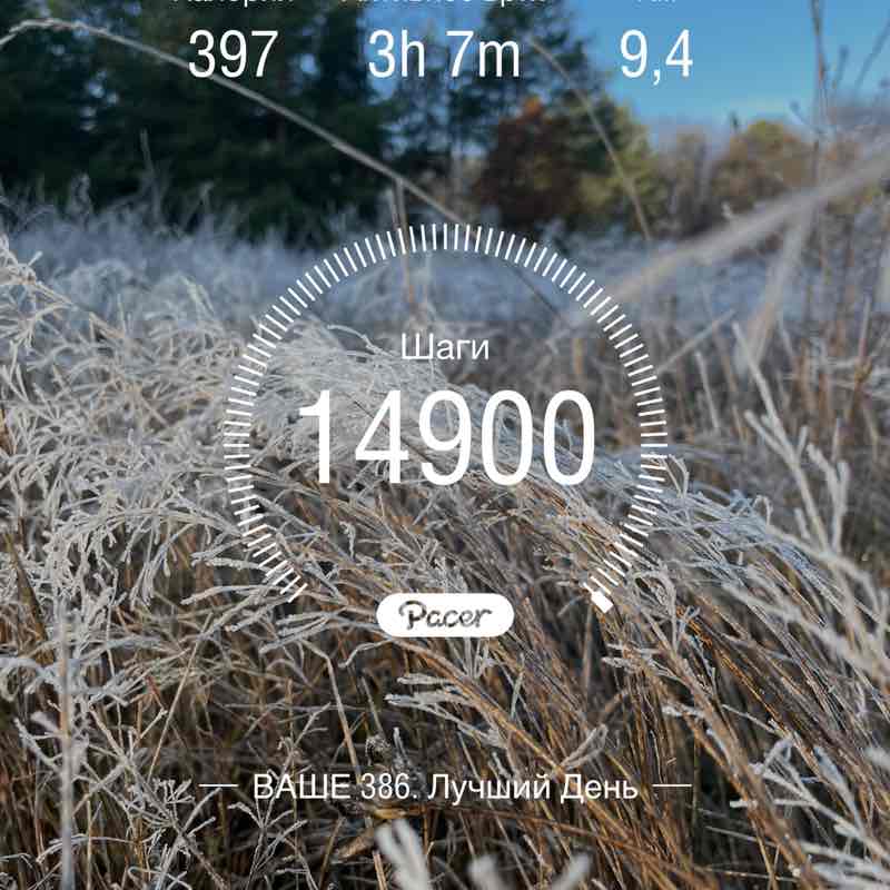 PacerЛейди_1984 post 1