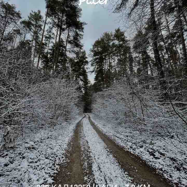 PacerЛейди_1984 post 1