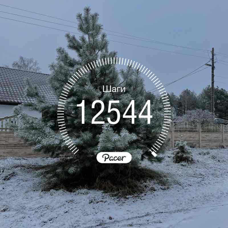 PacerЛейди_1984 post 1